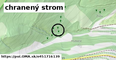 chranený strom