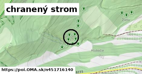 chranený strom