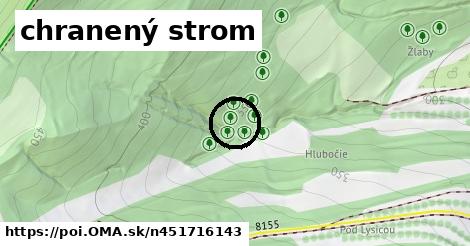 chranený strom