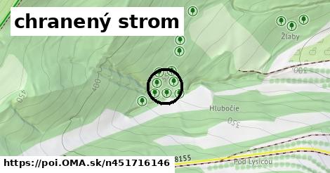 chranený strom