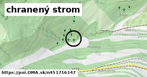 chranený strom