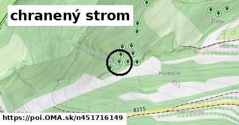 chranený strom