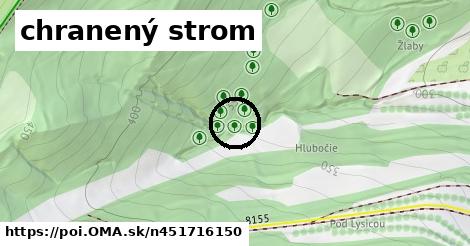 chranený strom