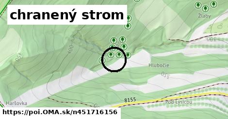 chranený strom