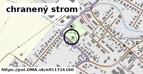 chranený strom