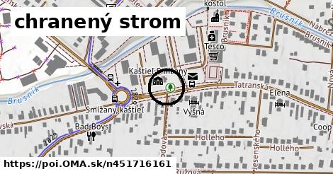 chranený strom