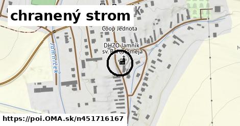 chranený strom