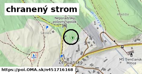 chranený strom