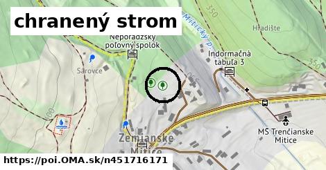 chranený strom