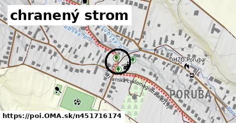 chranený strom