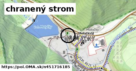 chranený strom