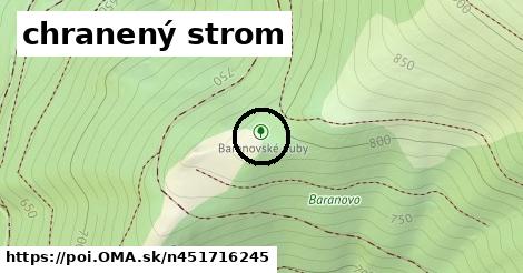 chranený strom