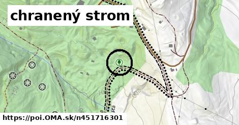 chranený strom