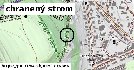 chranený strom