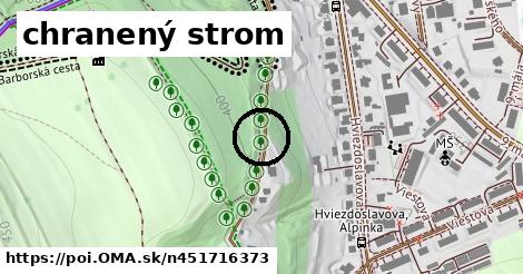 chranený strom