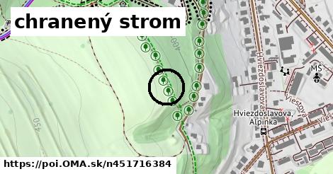 chranený strom
