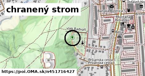 chranený strom