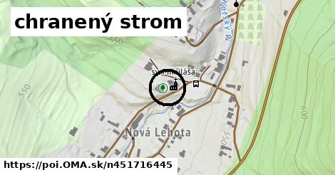 chranený strom