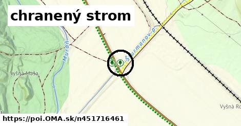 chranený strom