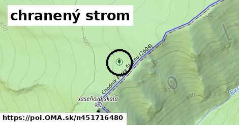 chranený strom