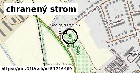 chranený strom