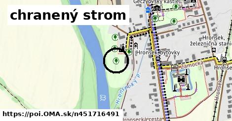 chranený strom