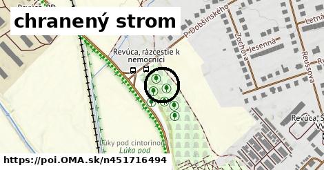 chranený strom