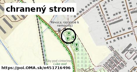 chranený strom