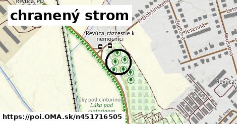 chranený strom