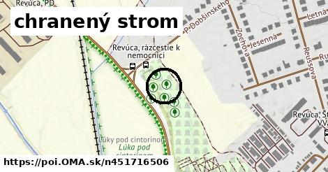 chranený strom