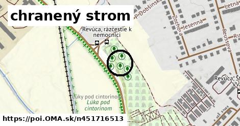 chranený strom