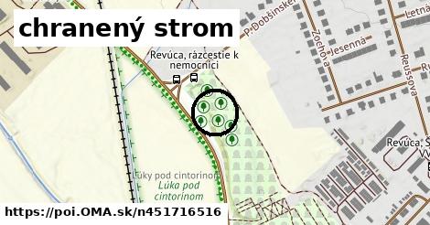 chranený strom