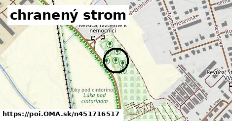 chranený strom