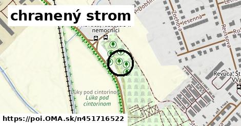 chranený strom