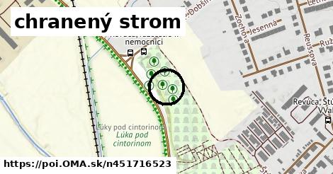 chranený strom