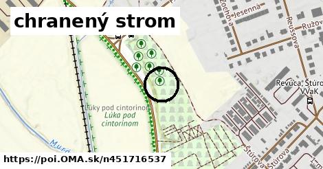 chranený strom