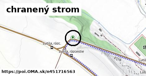 chranený strom