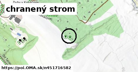 chranený strom