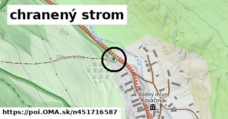 chranený strom