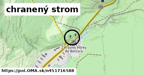 chranený strom