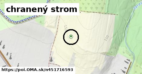 chranený strom