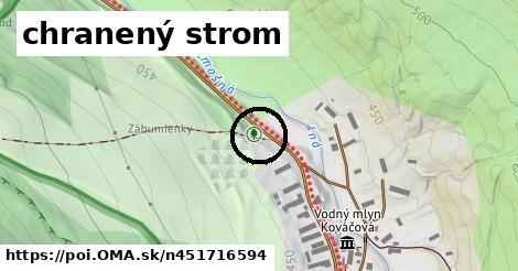 chranený strom