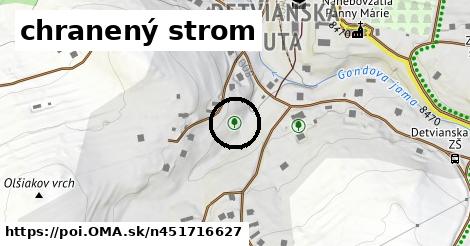 chranený strom