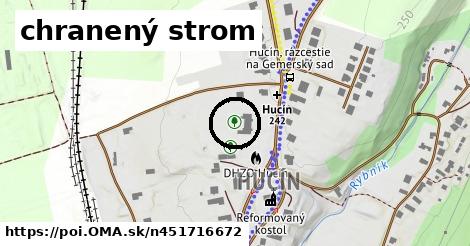 chranený strom