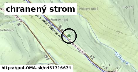 chranený strom