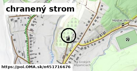 chranený strom