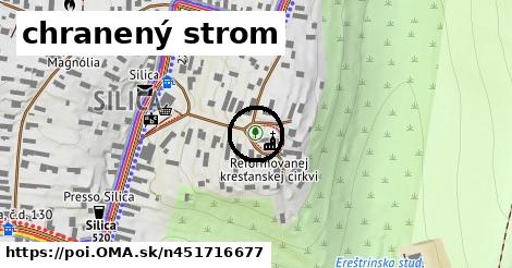 chranený strom