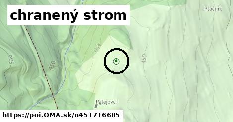 chranený strom