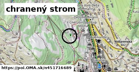 chranený strom