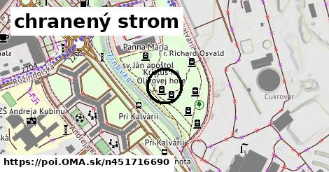 chranený strom